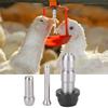 10Pcs Stainless Steel Automatic Chicken Feeder Nipple Water Drinker Equipment Livestock Accessory