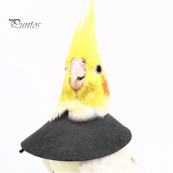 Adjustable Parrot Recovery Collar Anti-Biting Injury Protection Fastener Tape Fixing Bird Collar Pet Bird