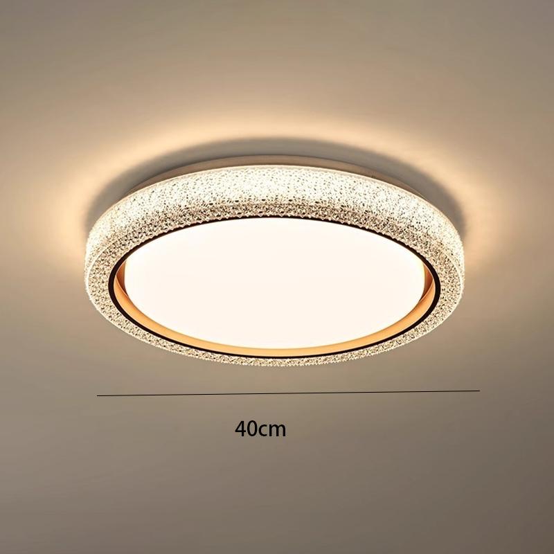 

Remote control dimming ceiling light Nordic living room bedroom ceiling lamp decor lamp round indoor lamp luxury home lightiing changeable