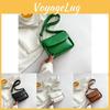 Trendy Spring 2023 Pu Leather Shoulder Bag Stylish Chic Small Square Bag