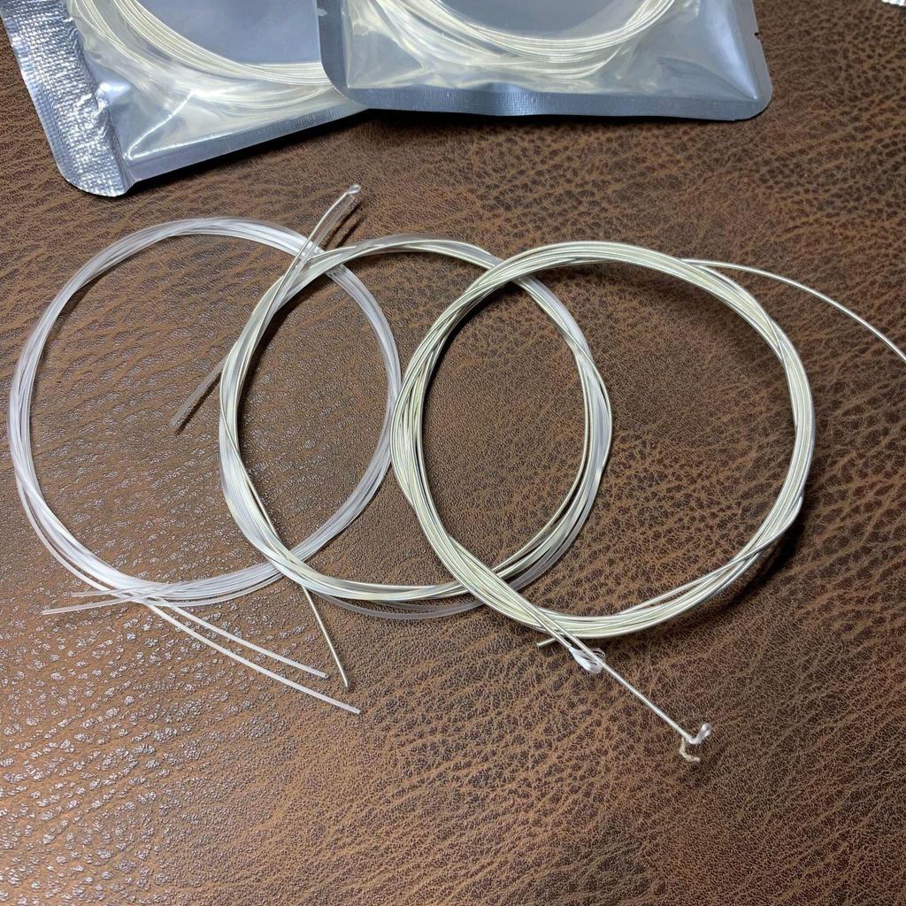 Classical Nylon Guitar Strings in Foil Bags with Cases