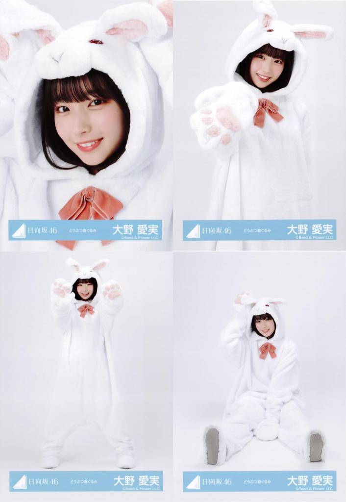 Hinatazaka46 Raw Photo Animal Costume 4 Types Complete Set Ohno Manami