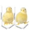 Mini Scene Model Home Decoration Easter  Chick Simulation Furry Chicken Lifelike Bird