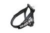 Julius K9 IDC Belt Harness Black Mini Mini
