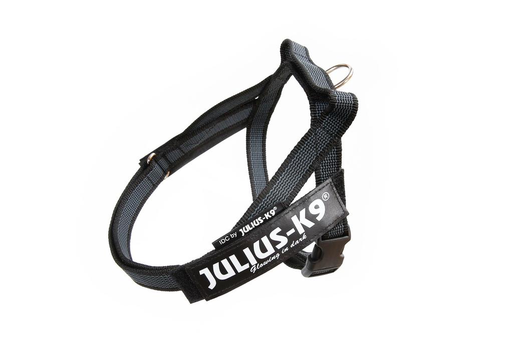 Julius K9 IDC Belthese Svart Mini Mini