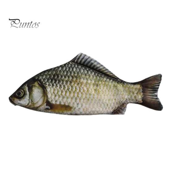 Interesting School Gift for Friends Realistic Crucian Carp Pencil Case, 3D Bionic Fish Shape Stationery Funny Case Pouch, Large Capacity Zippered