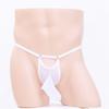 Sissy Lingerie Men Long Penis Sheath Underwear Mesh Transparent Elephant Nose Panties Sexy Hollow Male G-String T-Back Thongs