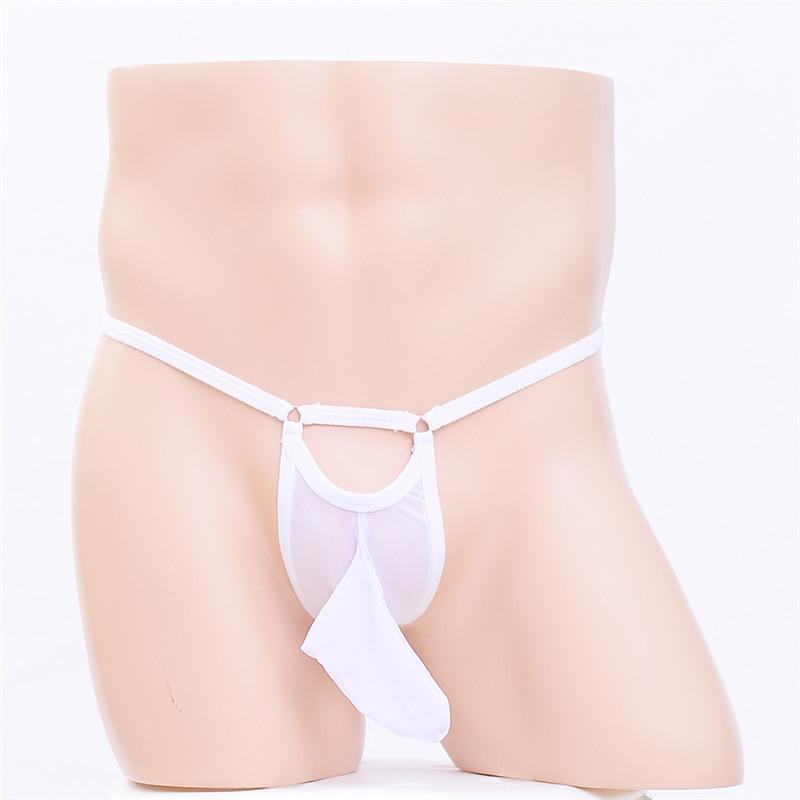Sissy Lingerie Men Long Penis Sheath Underwear Mesh Transparent Elephant Nose Panties Sexy Hollow Male G-String T-Back Thongs