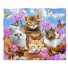 Süße Katzen-Decke für Mädchen Frauen, Leichte Weiche Fleece-Flanell-Kuscheldecke für Katzenliebhaber Sofa Couch Wohnzimmer 50x40 Zoll