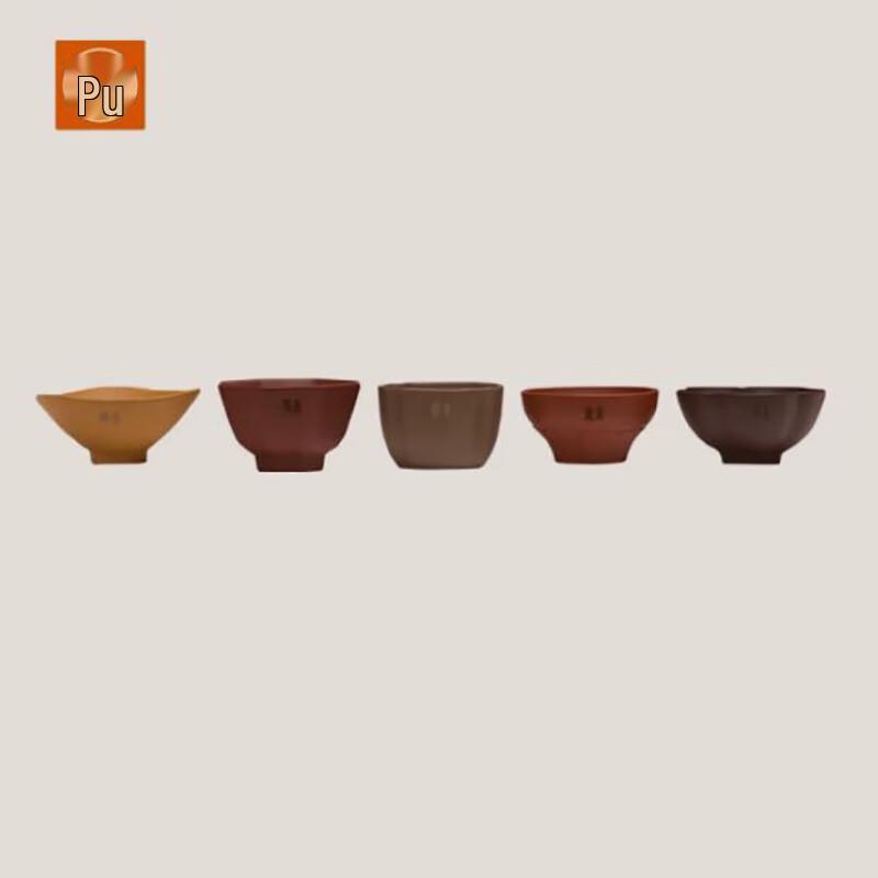 PUSHI TEA MAKER Five Elements Yixing Zisha Tea Cup Gift Set