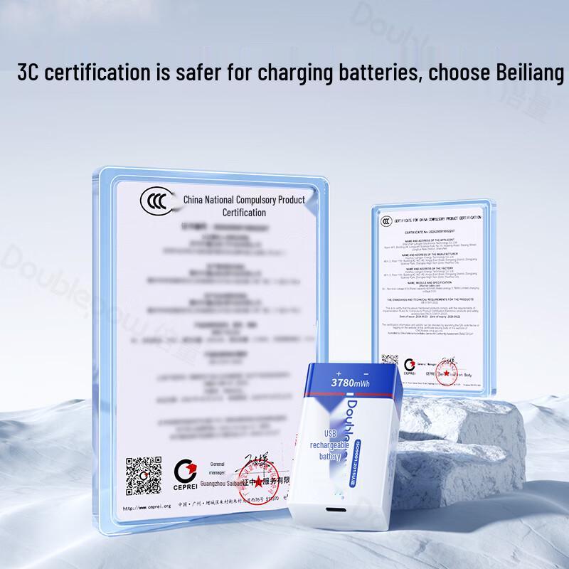 Doublepow 9V Type-C USB Rechargeable Lithium Battery CN plug (adapter included)