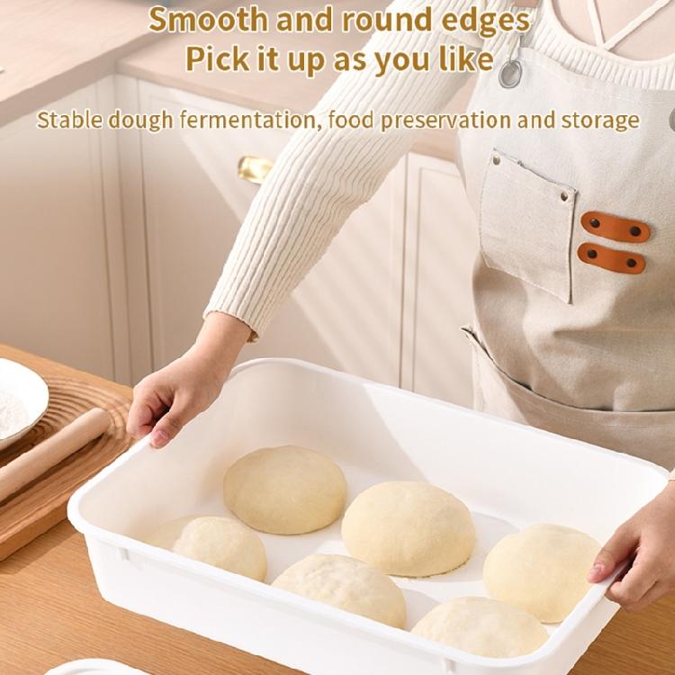 Rapid Fermentation Dough Box Featuring PE Materials for Optimal Result Clear Designs and Airtights Seal Domestic