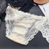 Ladies Spring and Summer Pure Desire Sexy Lace Leopard Print Mesh Briefs