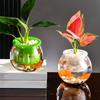 Langlebige Transparente Hydrokultur-Vase Kunststoff Mini-Blumentopf Dekorative Fischschale Balkon