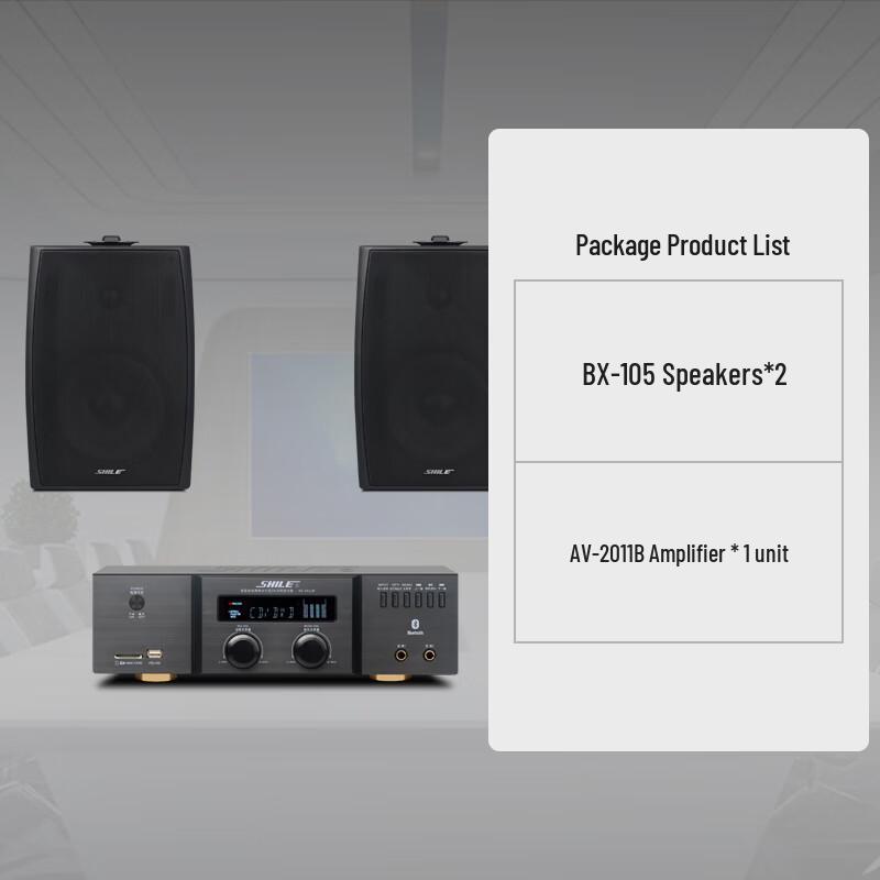 SHILE Professional Wall-Mounted Conference Audio System CN plug (adapter included)