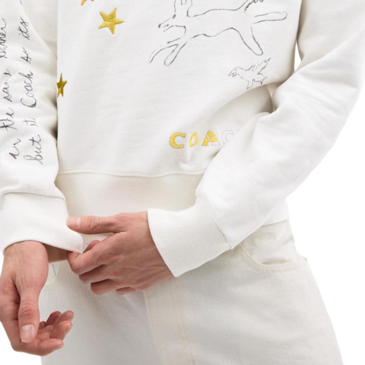 Coach Graffiti Pattern Printed Crew Neck Sports Sweatshirt Men sweatshirt White CAZ83-Y05