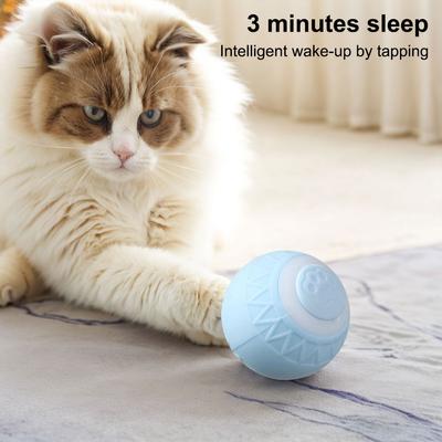 Kedi – Kedi Oyuncakları