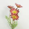 High-End Artificial Coreopsis Gesang Flowers - Home & Living Room Decor, Faux Floral Ornaments & Photography Props