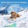 Breathable Ice Silk Cooling Pet Mat New Summer Thick Dog Bed Pad Non-Slip Washable Pet Cooling Sheet for Medium Large Dogs Cats
