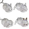 Functional Rabbit Shape Keepsakes Pendant Keychain Bunnies Hair Storage Box Clear Pet Furs Organizers Bag Charm Gift