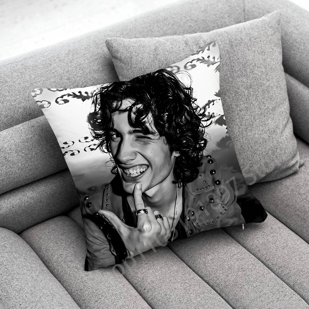 S-Sombr Back to Friends I Barely Know Her Throw Pillow Case For 30cm 40cm 45cm 50cm 55cm Square Sofa Pillowcase Shell
