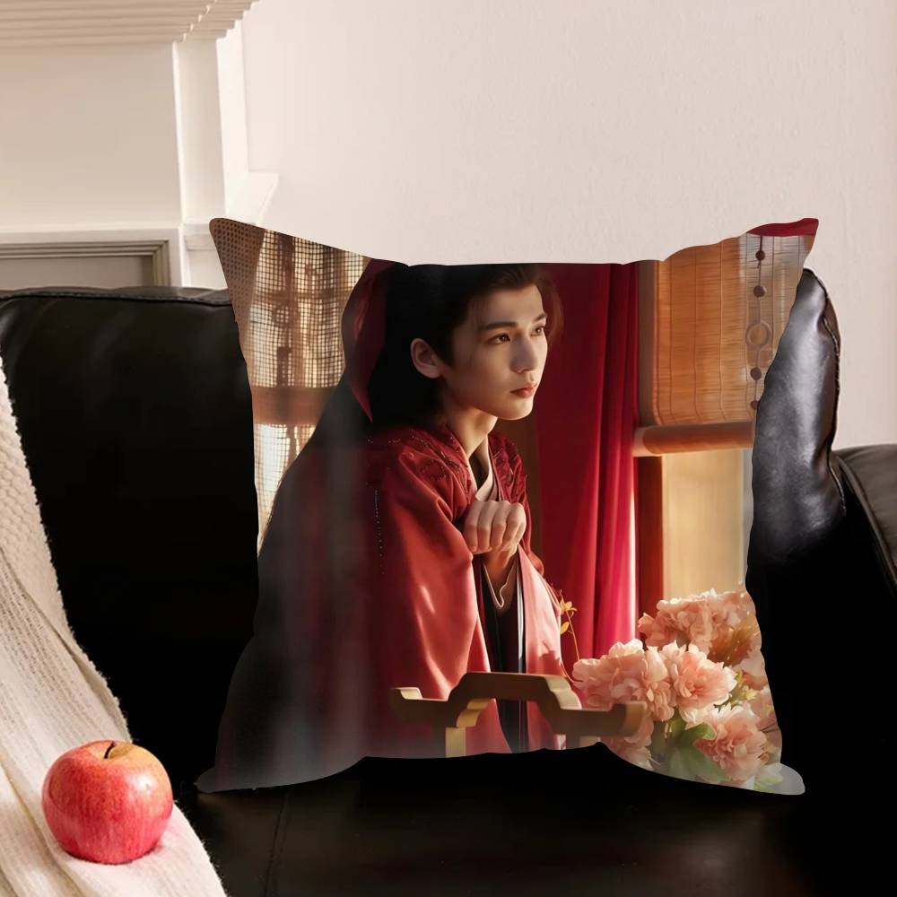 Pursuit Of Jade Zhang Linghe Pillowcase Living Room Sofa Cushion Cover Bedroom Room Bed Pillow Cover Home Decoration