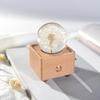 Dandelion Bluetooth Speaker Night Light: Crystal Ball with Preserved Flower - Unique Christmas/Birthday Gift