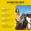 Ungüento de Caballo Sabor Manzana AMZ (Paquete de 3), Ungüento de Fórmula Suave para Repelente de Insectos y Equilibrio Físico para Caballos