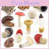 Set Realista de Hongos con Shiitake Comestible, Enoki, Matsutake, Sombrero Venenoso, Modelos Decorativos, Ideal Para Exhibición en el Hogar
