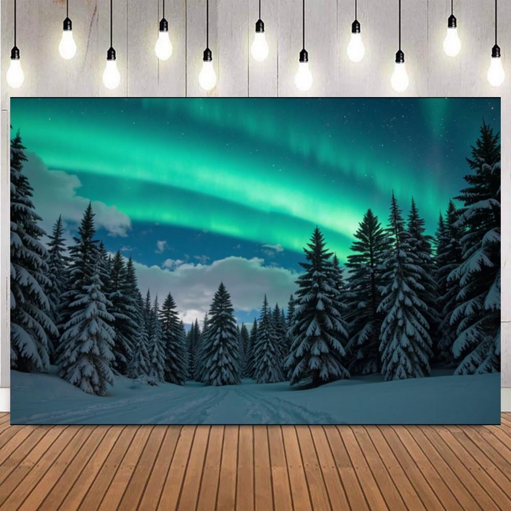 Winter Night Sky With Aurora Backdrop Snow Scene Mountains Lake Forest Starry Sky Natural Landscape Decor Photography Background14
