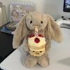 Bashful Beige Bunny Birthday Plush Toy Birthday Gift