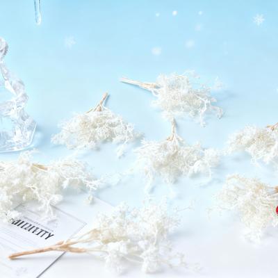 Deko & Wohnaccessoires – Künstliche Blumen & Kränze