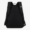 The North Face Standard Backpack Medium Black Nm2dr51j