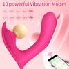 APP-Steuerung Tragbare Höschenvibratoren Sexspielzeug für Erwachsene für Frauen Klitoris Minivibrator mit 10 Vibrationsmodi Vibrierender Penis Analdildos Sexmaching