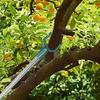 Branch Crutches Fruit Tree Support Tree Support Device