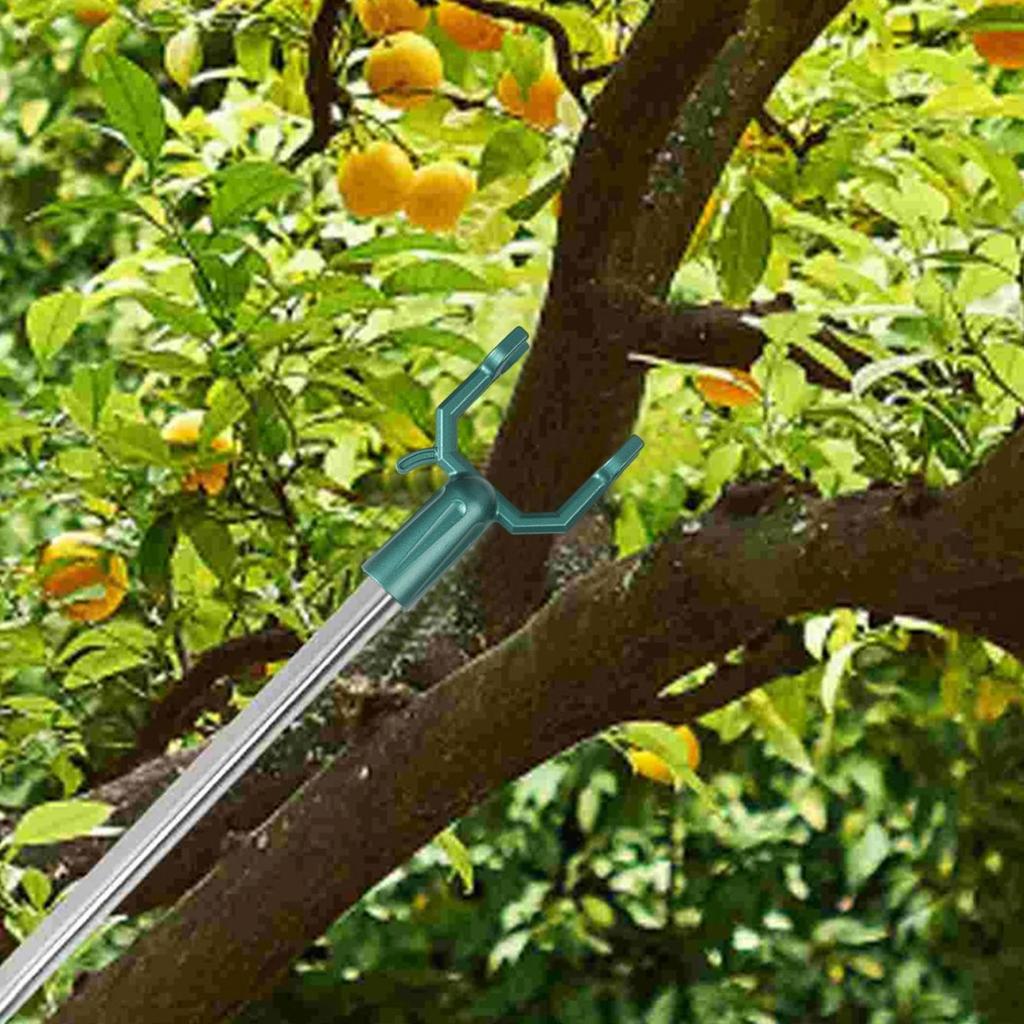 Branch Crutches Fruit Tree Support Tree Support Device