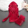 2 Pieces of Women's Outfit Fall Winter Women's Tracksuit Crystal Hoodies and Pant Sets Y2K Velvet Tracksuit