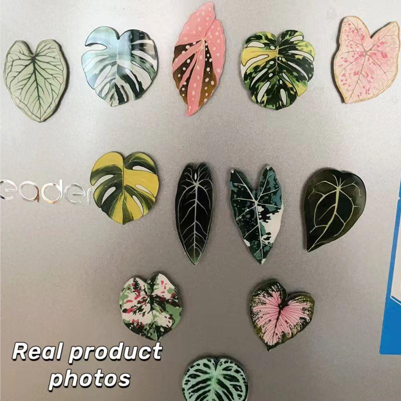 Grüne Kühlschrankaufkleber zur Heimdekoration. Interessante Heimdekorationen können Menschen kleine Geschenke machen