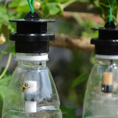 Fruchtfliegenfalle Killer Kunststoff Drosophila Falle Fliegenfänger mit Lockstoff