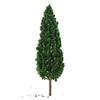 Complete Trees Layout Model Plastic SL-16059 Trees