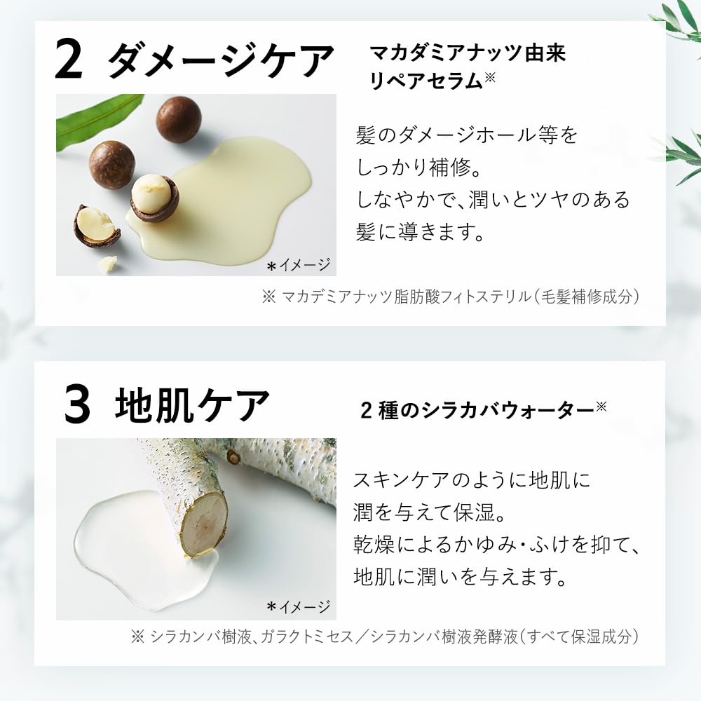 Botanist Travel Set Smooth