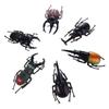 Animals Kids Fake Beetle Simulation Beetle Special Lifelike Model Insect Model Beetle Toys