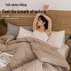 MUJI Class A Xinjiang Pure Cotton All-Season Quilt