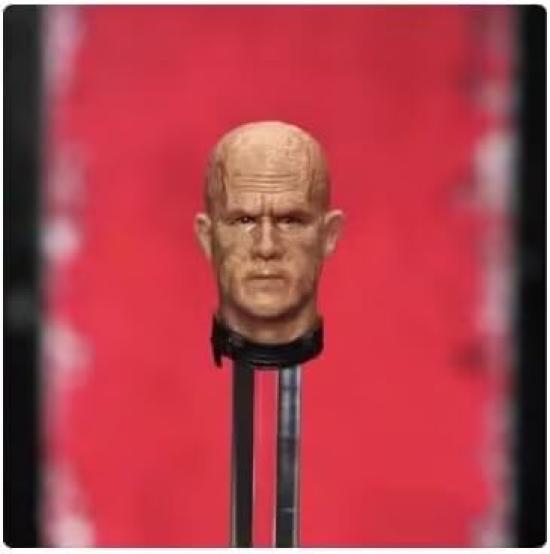 

Senkai Studio Scale Figure SHF Modification Parts Set with Weapons Studio/Manipple 1/12