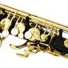 SLADE Eb Alto Saxophone Black Gold Key Instrument Premium Brass Saxophone For Playing Practice Instrument With Accessories