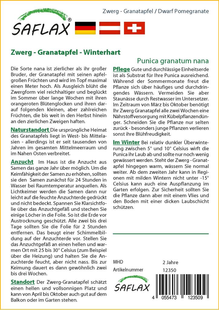 SAFLAX Rodie pitică - 50 de semințe - Cu substrat de ghiveci pentru o cultivare mai bună - Punica granatum nana