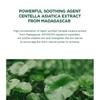 SKIN 1004 - Madagascar Centella Tea-Trica Purifying Toner