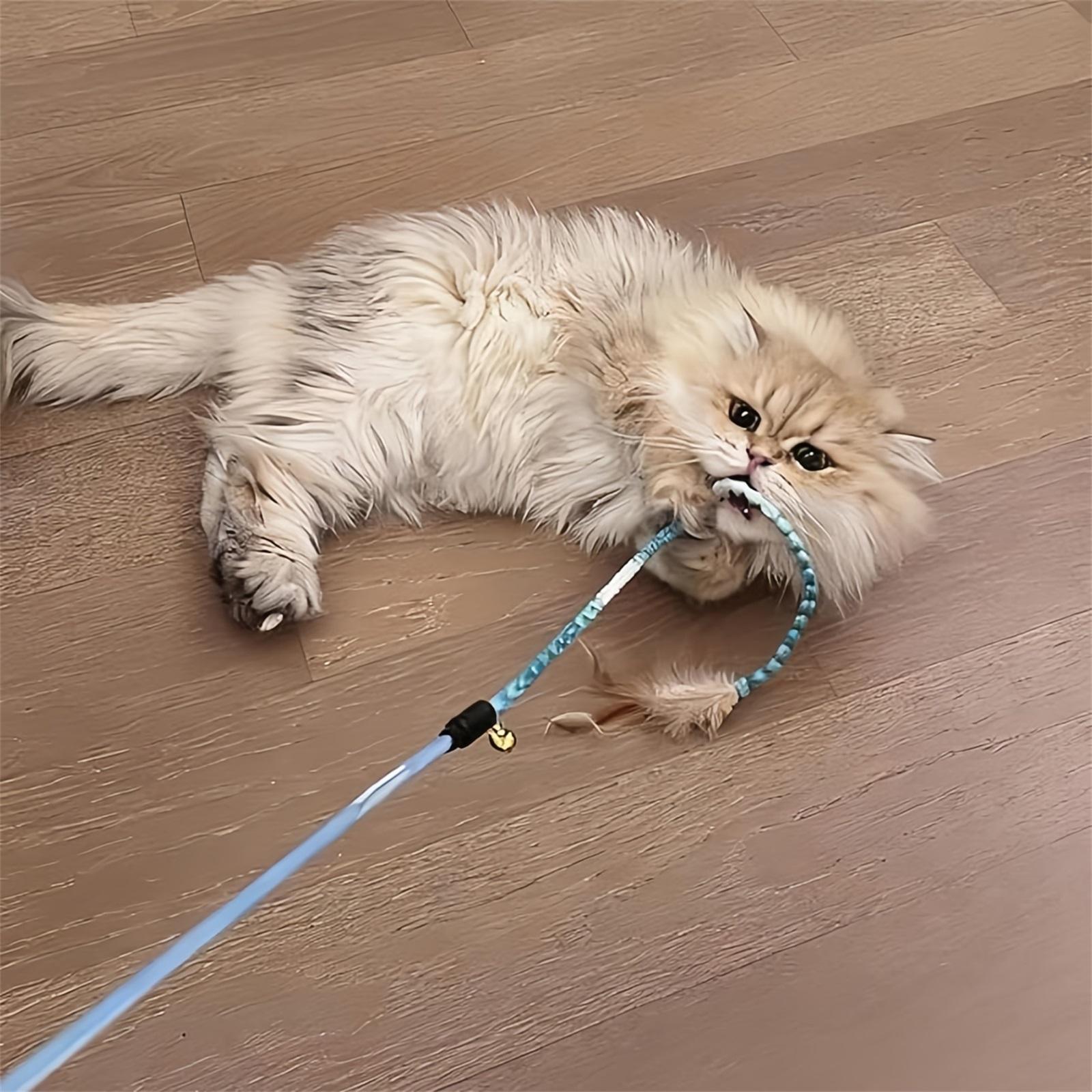 

Wand Toys,Teasing Stick With Bell Interactive Toys Cute Wand Safe Toy For All Breed Size One Size синий