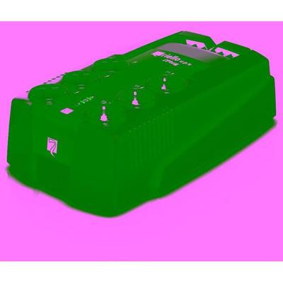 Charger - Riello - IPG 600 DE - 600 VA - 360W - C13 and Type F (Schuko)