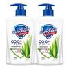Safeguard Antibacterial Hand Wash with Aloe Vera